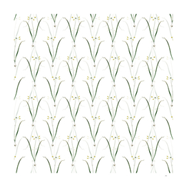 Vintage Allium Scorzonera Folium Pattern on White