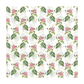 Vintage Harsh Downy Rose Pattern on White
