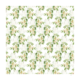 Vintage Apple Blossom Botanical Pattern on White