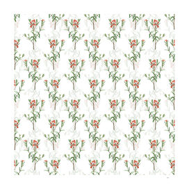 Vintage Bog Laurel Bloom Pattern on White