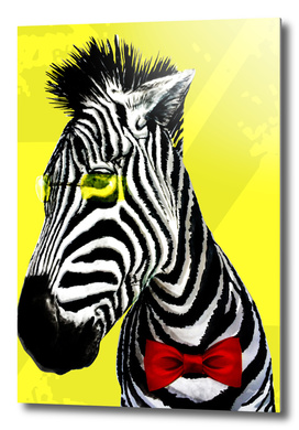 Mr Zebra