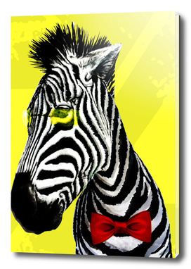 Mr Zebra