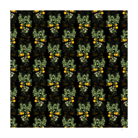Vintage Bitter Orange Botanical Pattern on Black