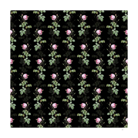 Vintage Provence Rose Botanical Pattern on Black