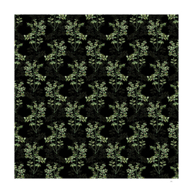 Vintage Bilberry Botanical Pattern on Black