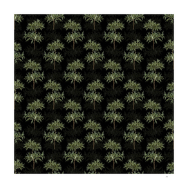 Vintage Bitter Willow Botanical Pattern on Black