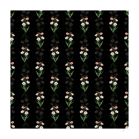 Vintage Dark Eyed Viscaria Flower Pattern on Black