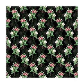 Vintage Periwinkle Botanical Pattern on Black