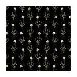 Vintage Arabian Starflower Pattern on Black