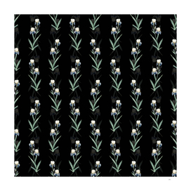 Vintage Elder Scented Iris Pattern on Black