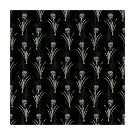 Vintage Mourning Iris Botanical Pattern on Black
