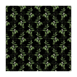 Vintage Tea Tree Botanical Pattern on Black