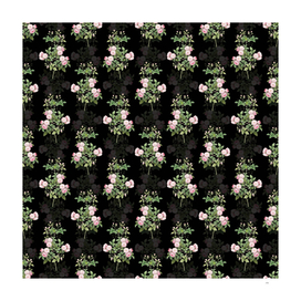 Vintage Pink Baby Roses Botanical Pattern on Black