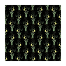 Vintage Slime Lily Botanical Pattern on Black