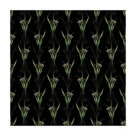 Vintage White Baboon Root Pattern on Black