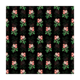 Vintage Rose Clare Flower Pattern on Black
