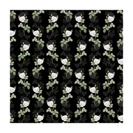Vintage White Misty Rose Pattern on Black