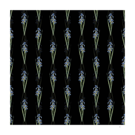 Vintage Blue Iris Botanical Pattern on Black