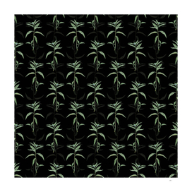 Vintage Dayflower Botanical Pattern on Black