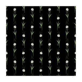 Vintage Ixia Maculata Botanical Pattern on Black