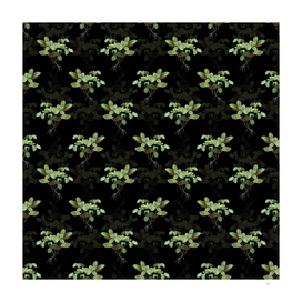 American Wintergreen Plant Pattern on Black