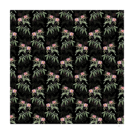 Vintage Pink Swamp Roses Pattern on Black
