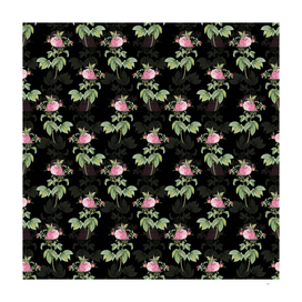 Vintage Pink Agatha Rose Pattern on Black