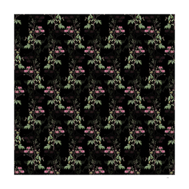 Vintage Pink Noisette Roses Pattern on Black