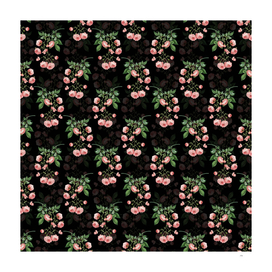 Vintage Pink Rambler Roses Pattern on Black