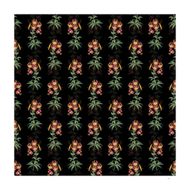 Vintage Turban Lily Botanical Pattern on Black