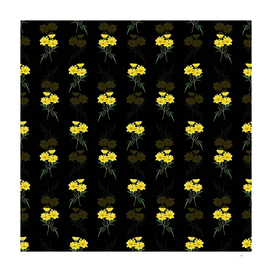 Vintage Golden Coreopsis Flower Pattern on Black