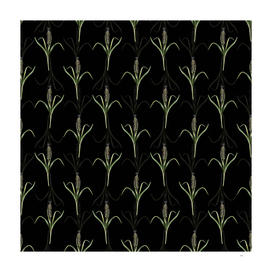 Vintage Grape Hyacinth Botanical Pattern on Black
