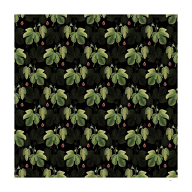 Vintage Briansole Figs Botanical Pattern on Black