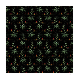 Vintage Flame Lily Botanical Pattern on Black