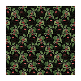 Vintage Sour Cherry Botanical Pattern on Black