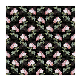 Vintage Pink Damask Rose Pattern on Black