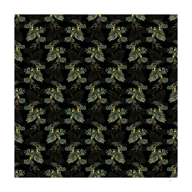 Vintage Sweet Acacia Botanical Pattern on Black