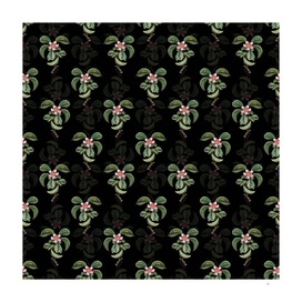 Vintage Chinese Quince Botanical Pattern on Black
