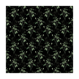 Vintage Maranta Arundinacea Pattern on Black