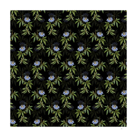 Vintage Blue Passionflower Pattern on Black