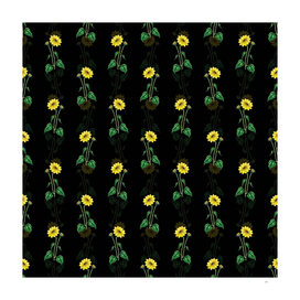 Vintage Trumpet Stalked Sunflower Pattern on Black