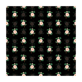 Gray's Invincible Camellia Pattern on Black