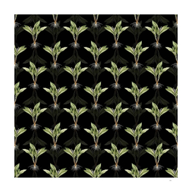 Vintage Lily of the Valley Pattern on Black
