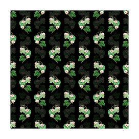 Vintage Aiton's Ipomoea Flower Pattern on Black