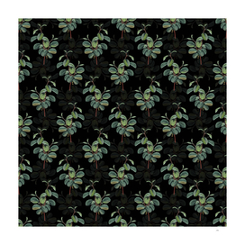 Vintage Alpine Buckthorn Plant Pattern on Black