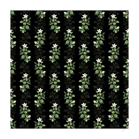 Vintage Gardenia Botanical Pattern on Black