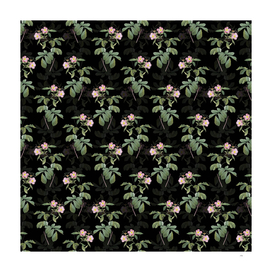 Vintage Pink Alpine Roses Pattern on Black