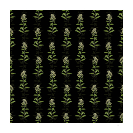 Vintage Green Cestrum Botanical Pattern on Black