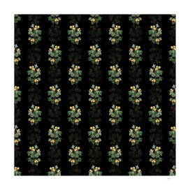 Vintage Aronia Thorn Flower Pattern on Black