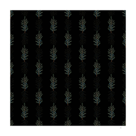 Vintage Common Juniper Botanical Pattern on Black